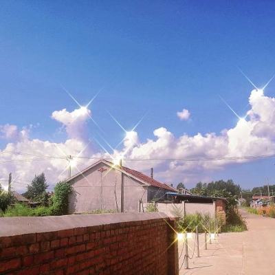 姬魔恋战纪手游下载
